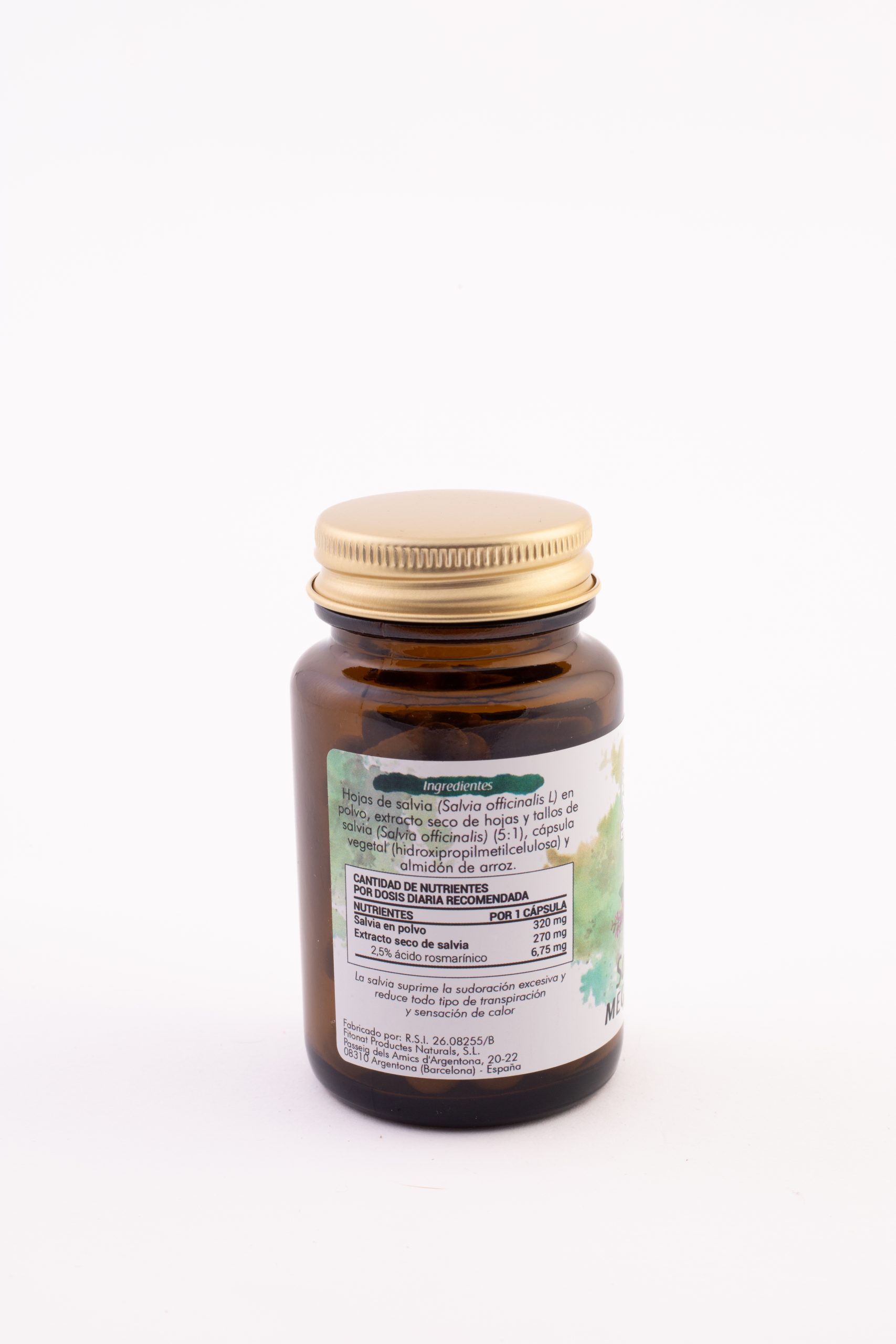 Salvia megaplus - Image 2