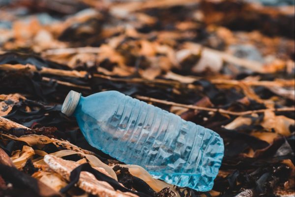 erik-mclean-GjCx5KhulZI-unsplash